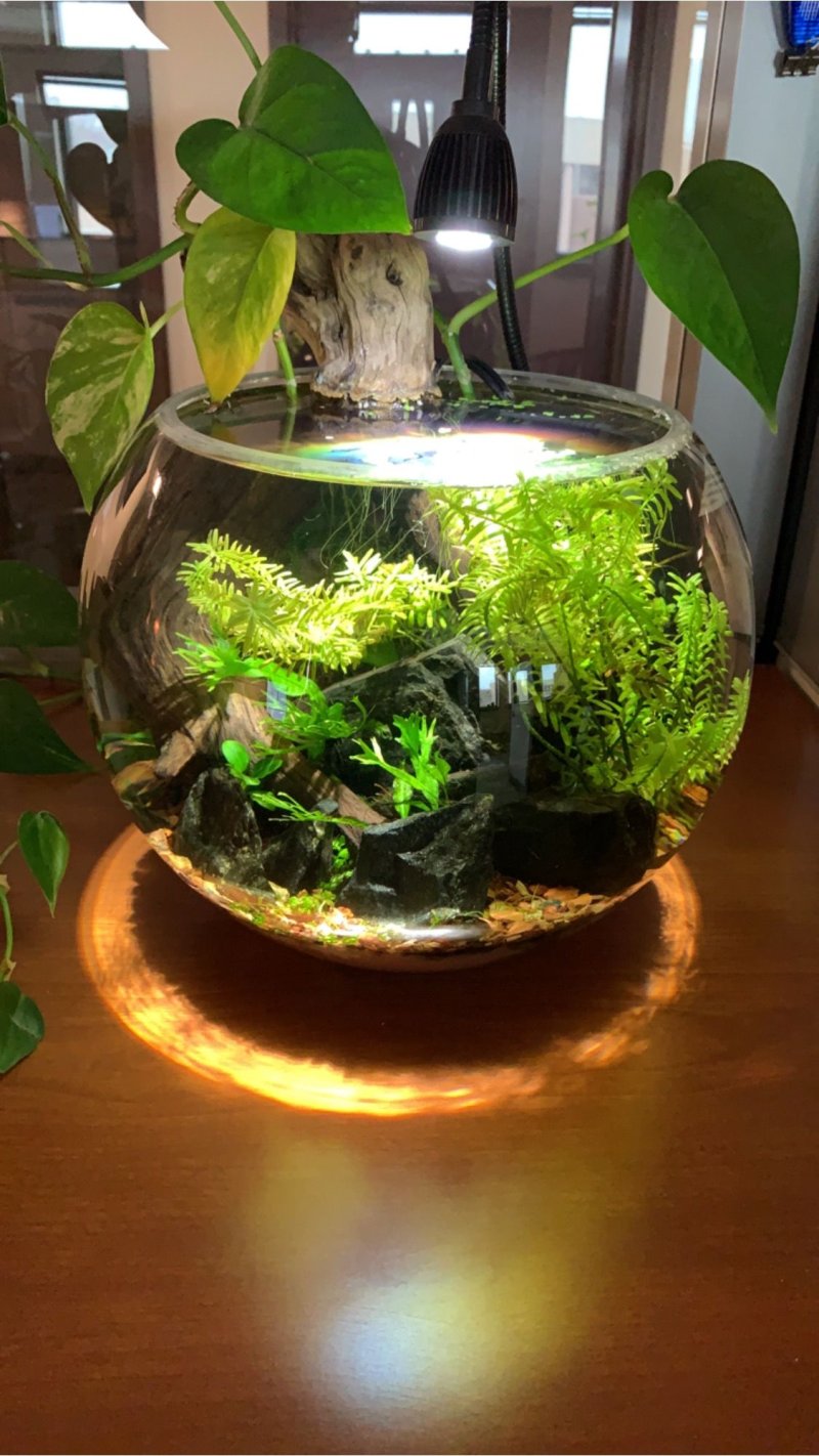 Круглые аквариумы