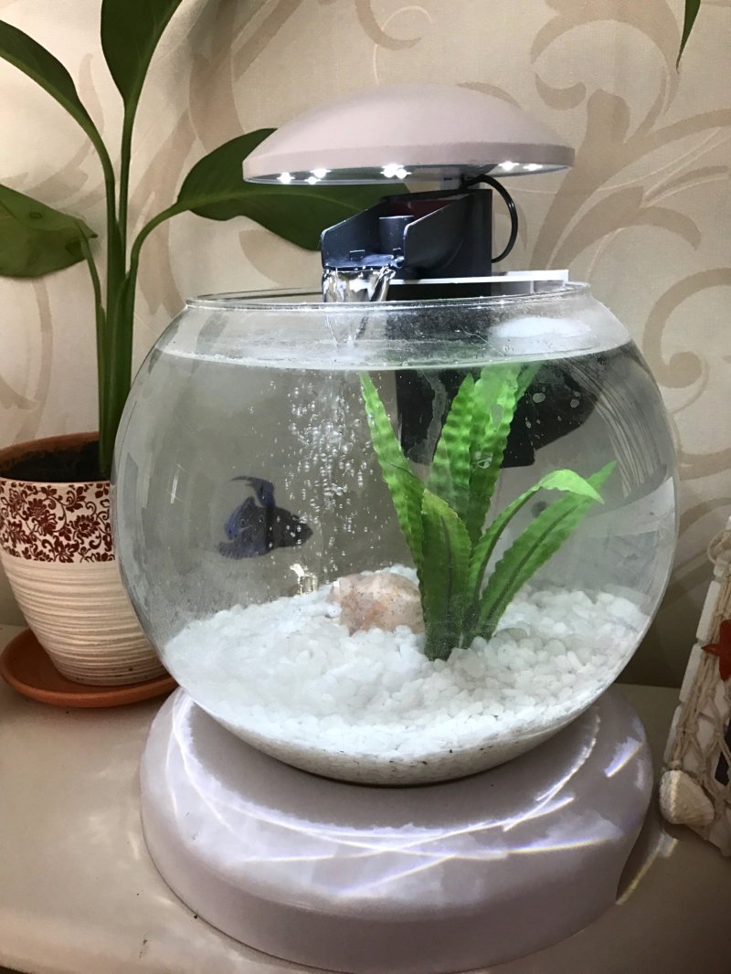 Аквариум tetra cascade globe