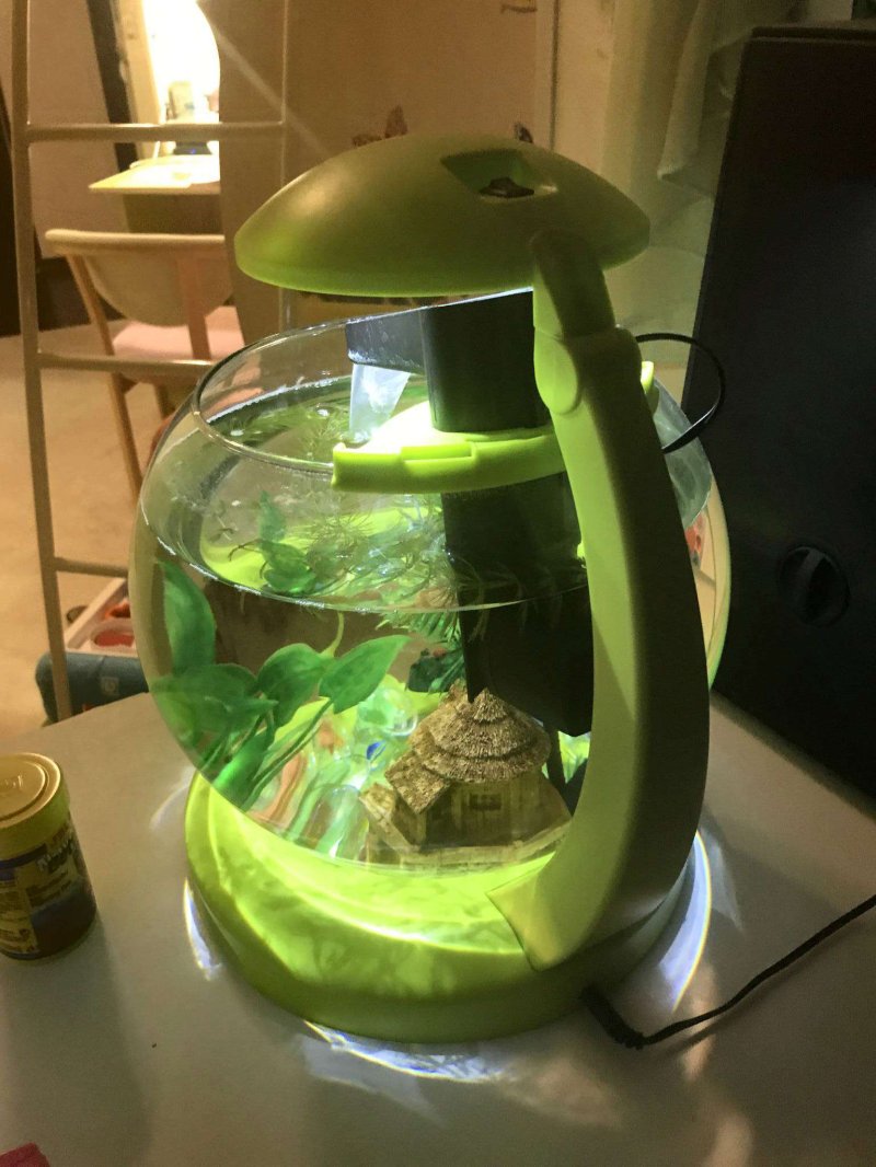 Tetra cascade globe white аквариумный комплекс