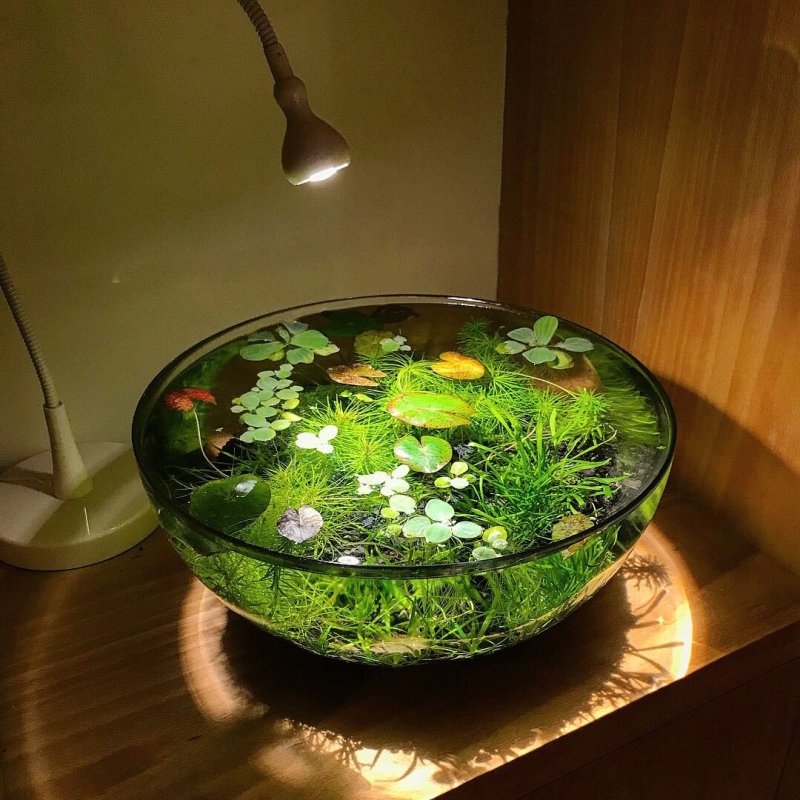 Круглые аквариумы