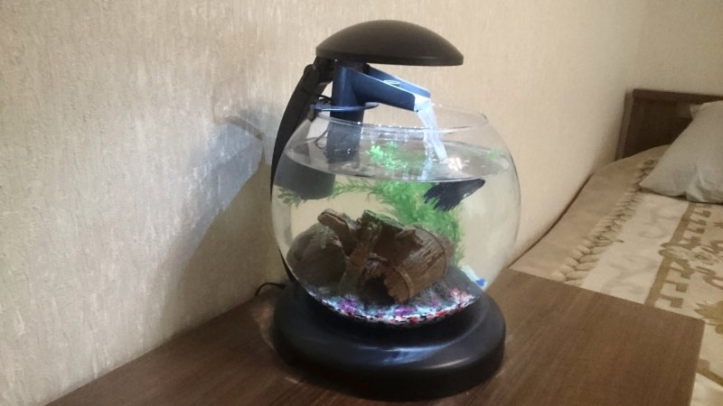 Аквариум tetra cascade globe