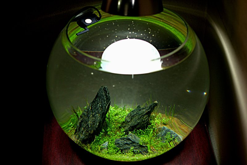 Аквариум cascade globe