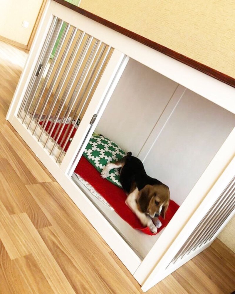 Клетка для собак в квартиру