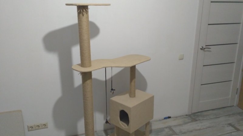 Комплекс когтеточка для мейн куна