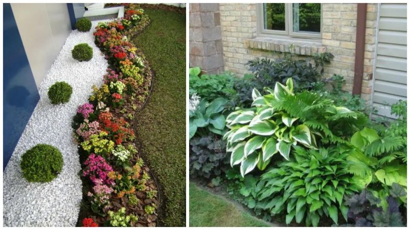 Landscaping ideas