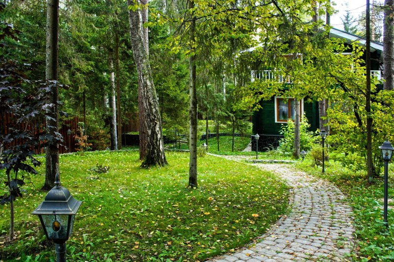 Ландшафтный дизайн лесного участка