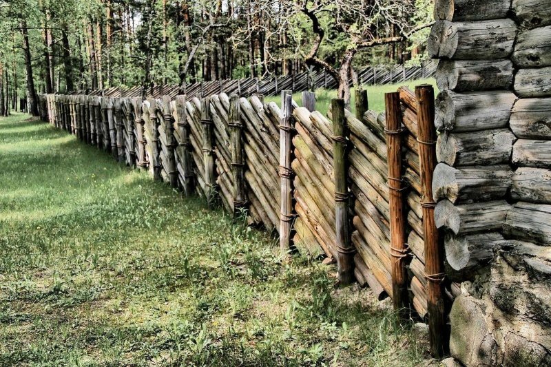 Забор из веток