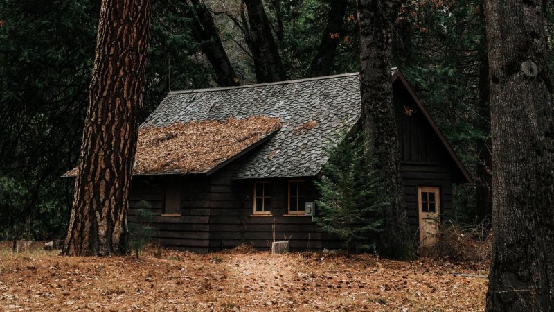 Хижина в лесу the cabin in the woods 2012