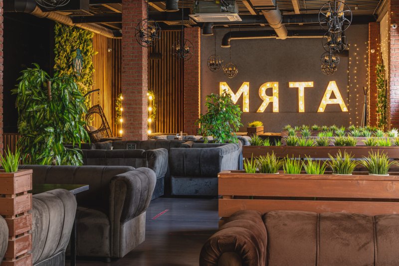 Мята lounge