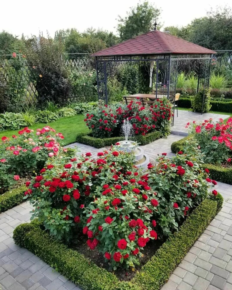 Сад светланы декуновой
