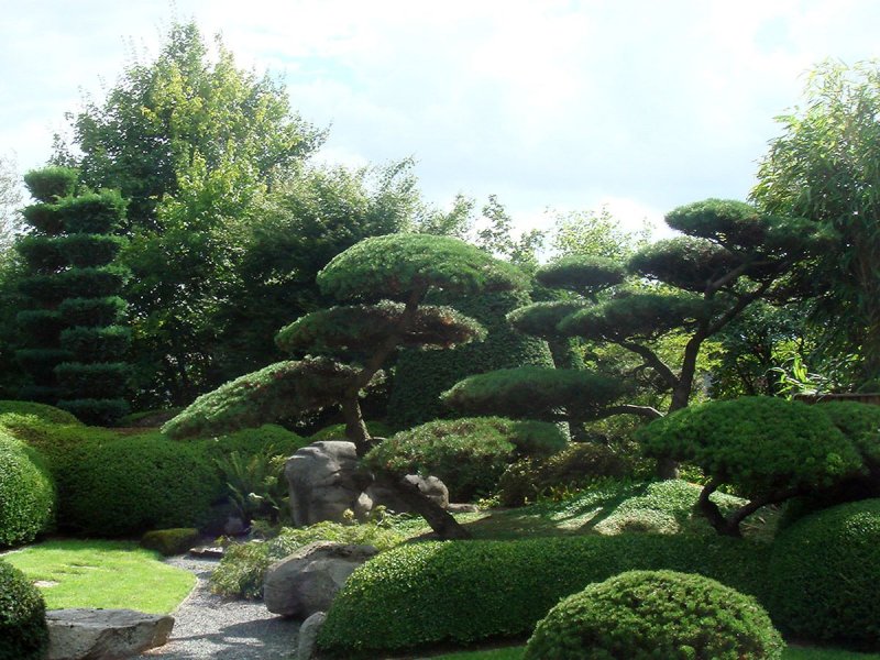 Japanischer garten