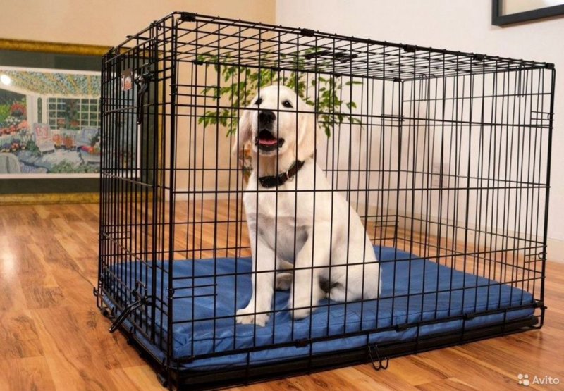 Клетка для собак