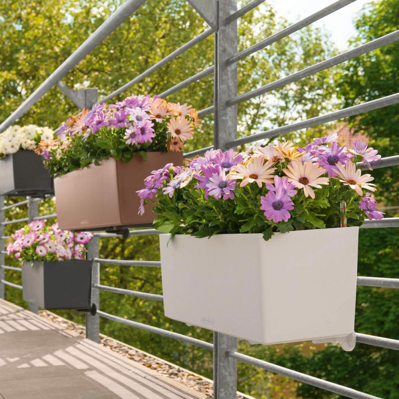 Кашпо лечуза balconera