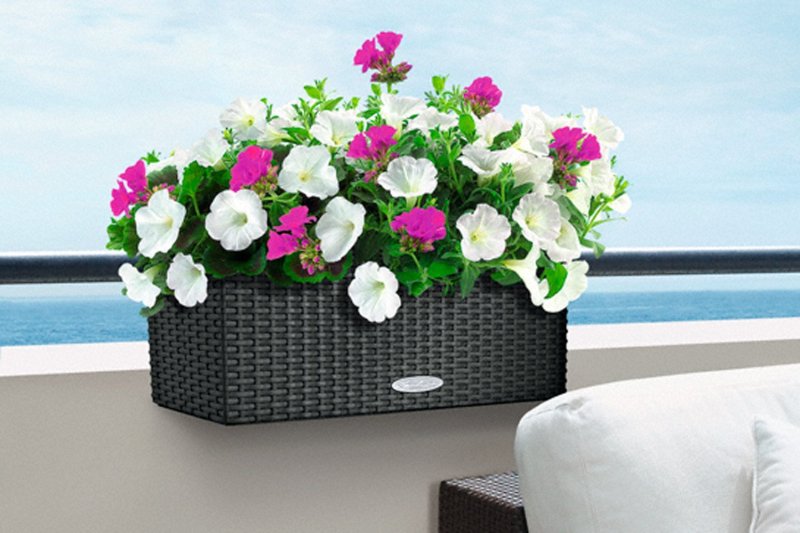 Кашпо lechuza balconera