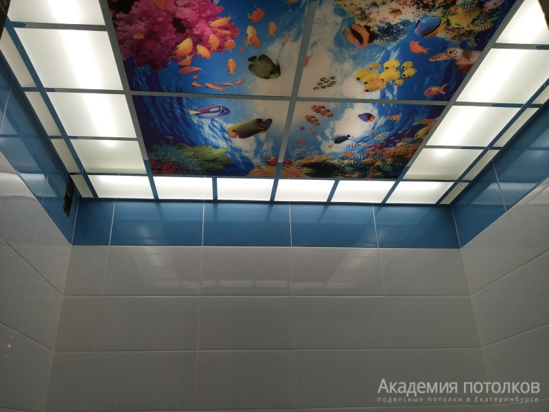 Потолки для ванной