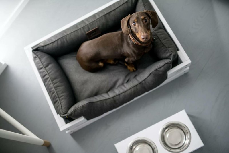 Лежанка для животных со съемным чехлом pet bed