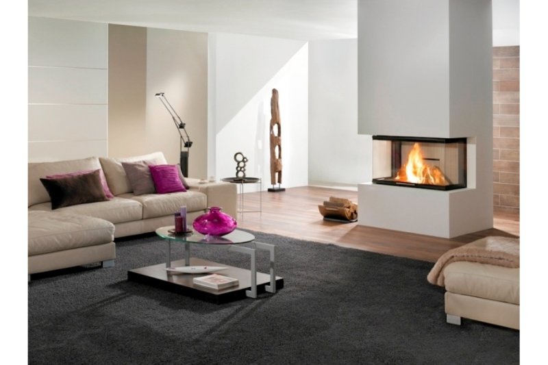 Каминная топка spartherm