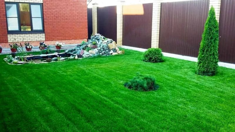 Газон в ландшафтном дизайне