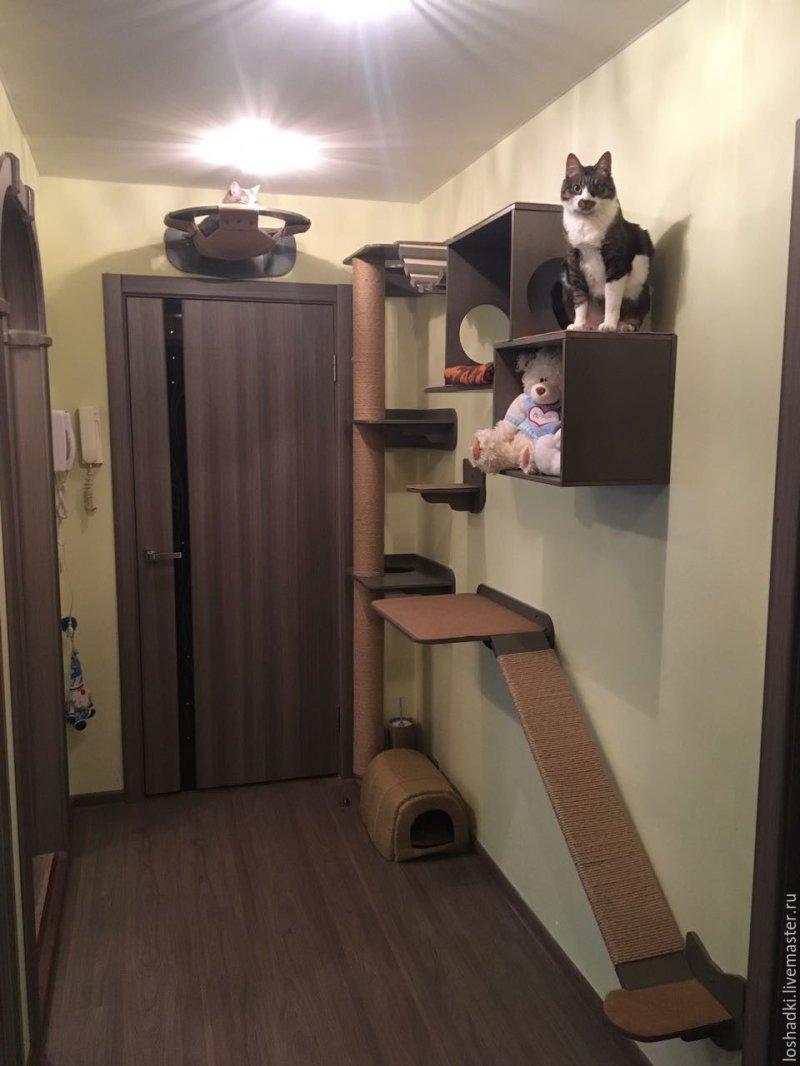 Настенные комплексы для кошек