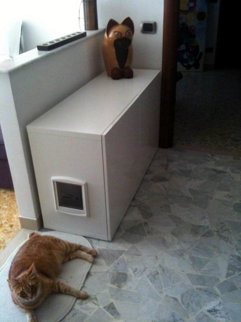 Кошкин туалет домик