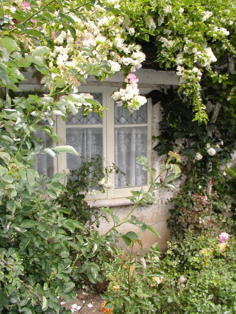 Cottage garden