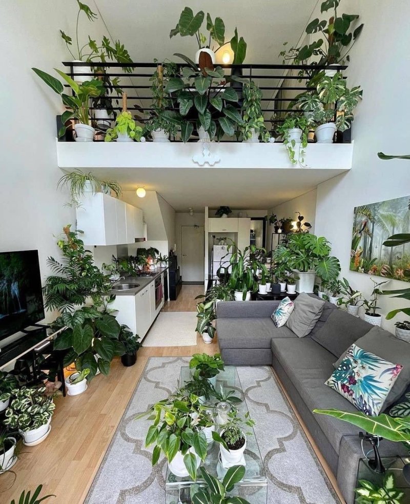 Desain rumah minimalis
