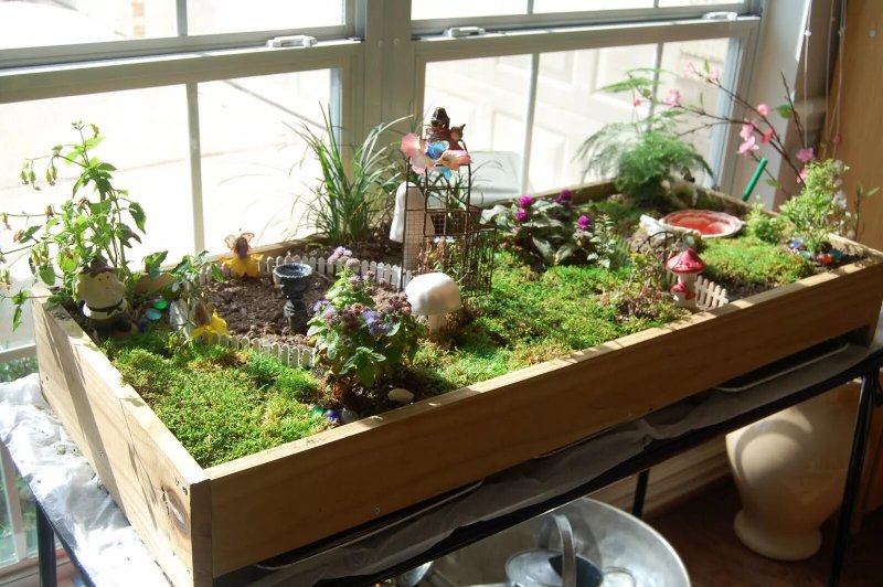 Fairy garden ideas