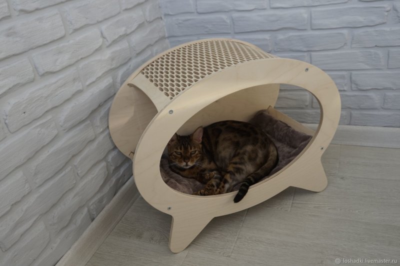 Дизайнерские домики для кошек