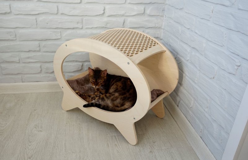 Дизайнерские домики для кошек
