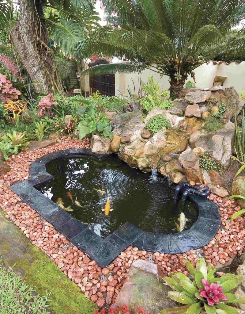 Koi pond