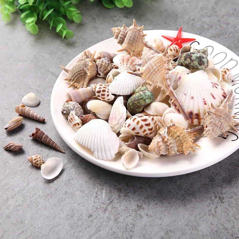 Украшения для аквариумов ракушки