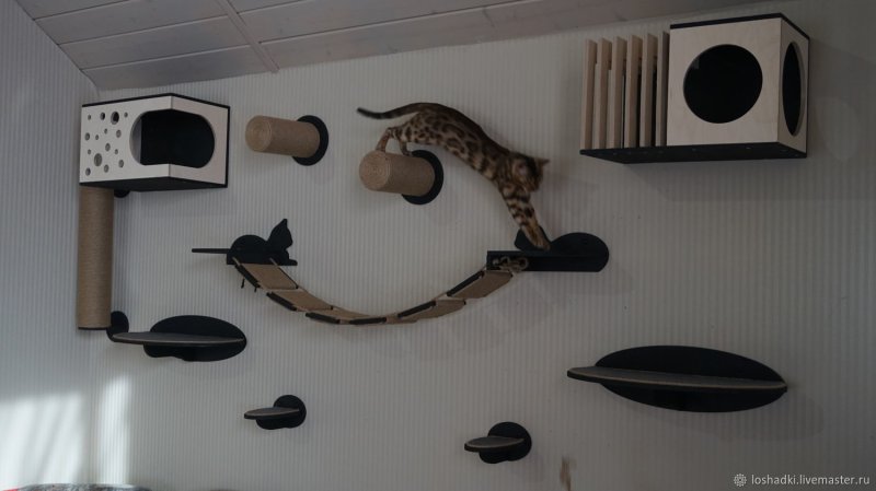 Настенные комплексы для кошек