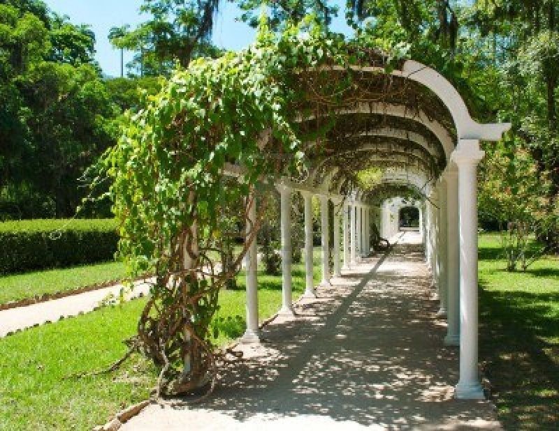 Rio de janeiro botanical garden