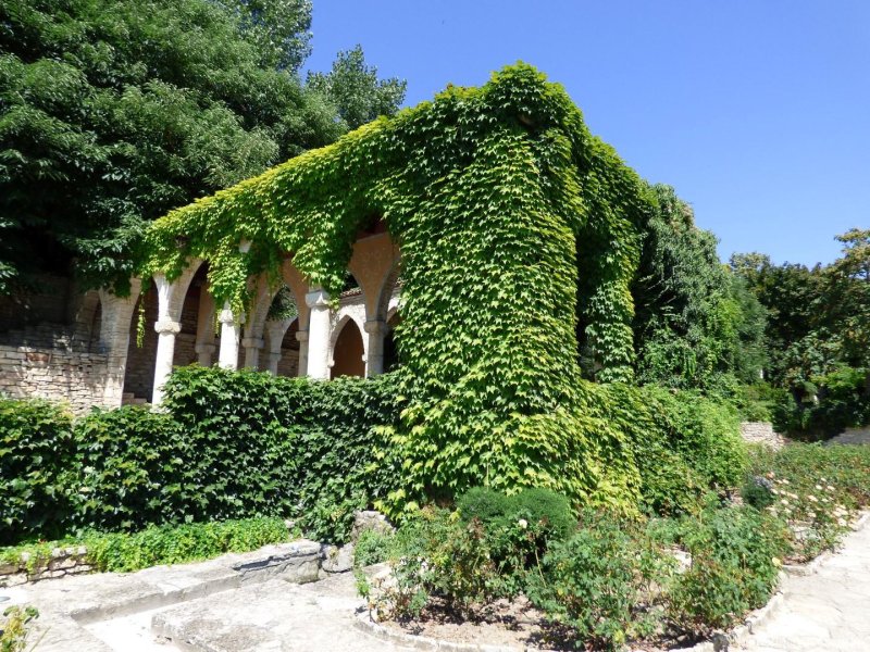 The botanical garden