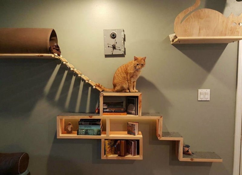 Лестница для кошек
