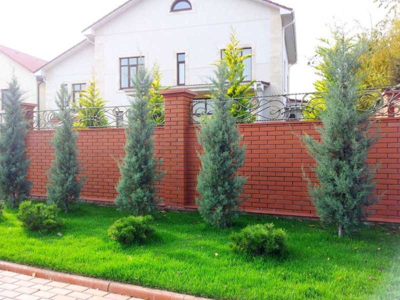 Ландшафтный дизайн вдоль забора