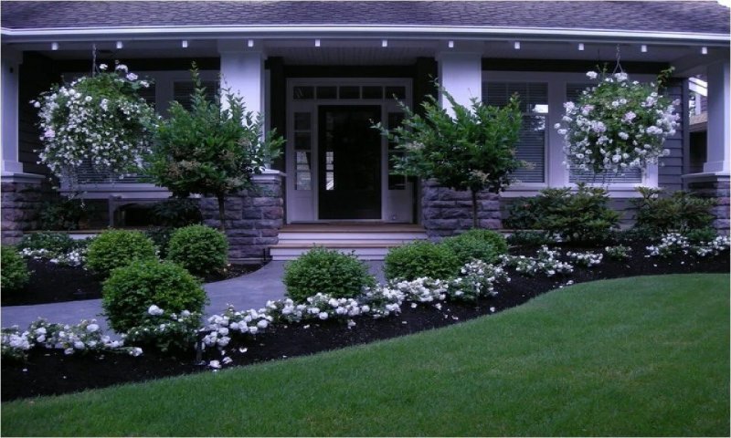 Front yard landscaping ideas