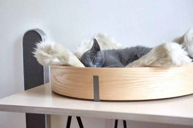 Кровать для кошек