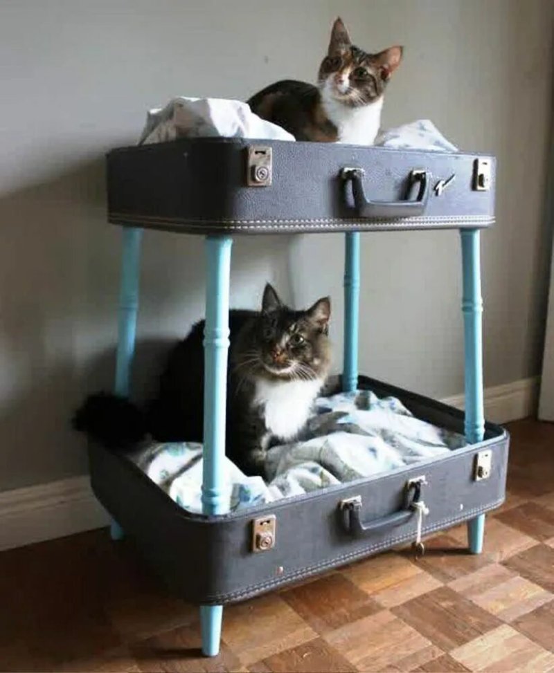 Кошачий домик из чемодана