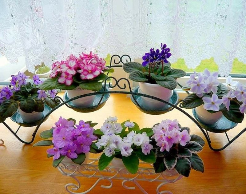 Подставка для фиалок