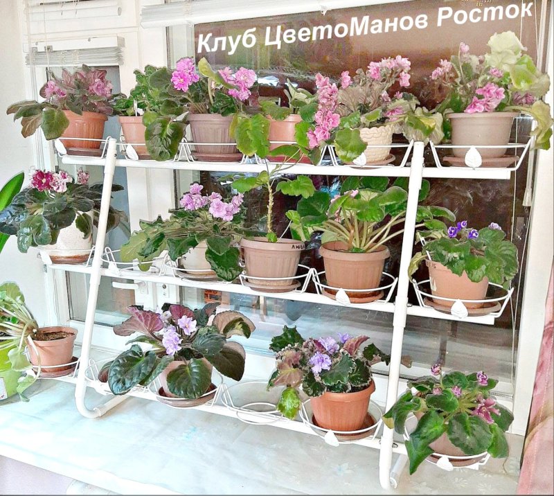 Полка для фиалок