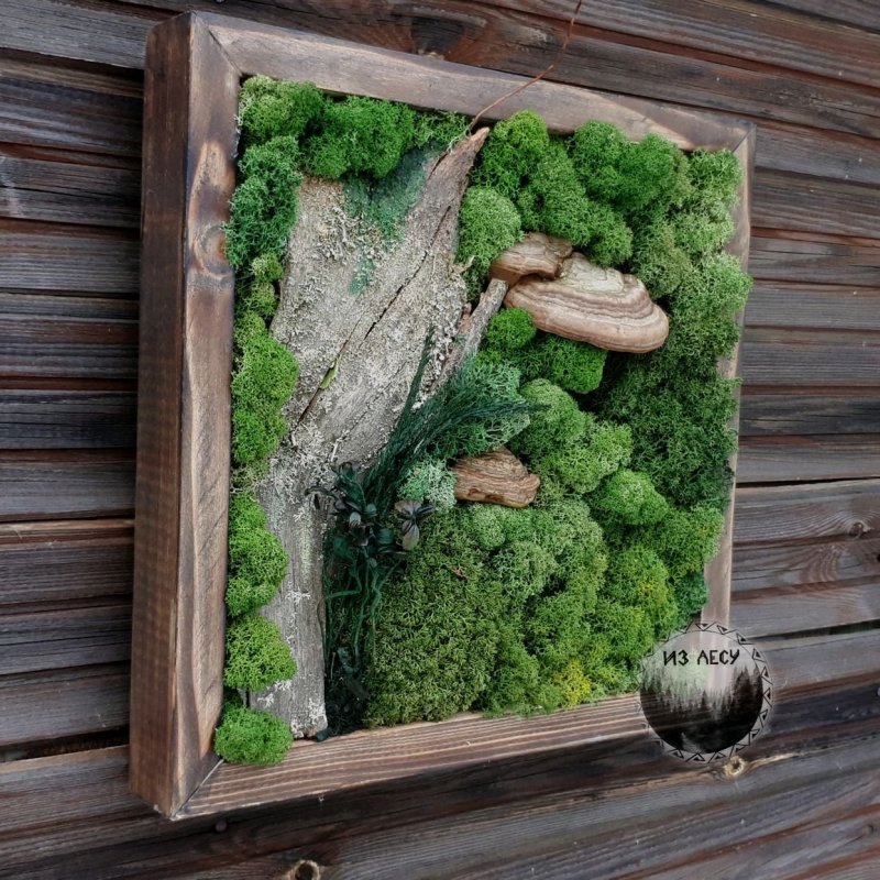 Панно из мха