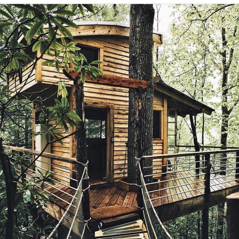 Treehouse домик на дереве