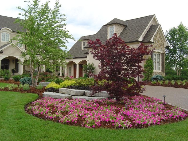 Front yard landscaping