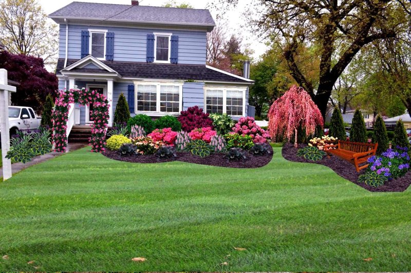 Front yard landscaping