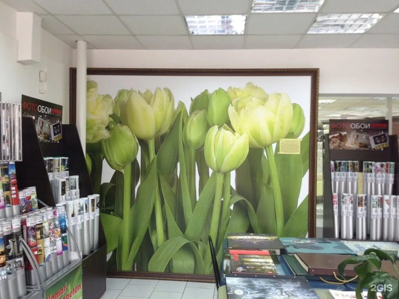 Фотообои тюльпаны