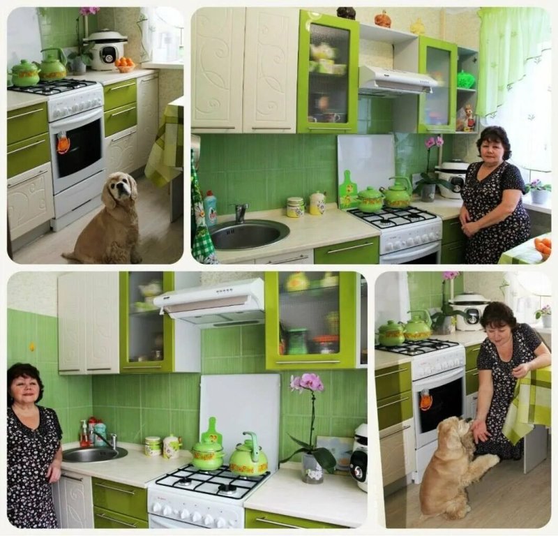 Кухни в зеленых тонах