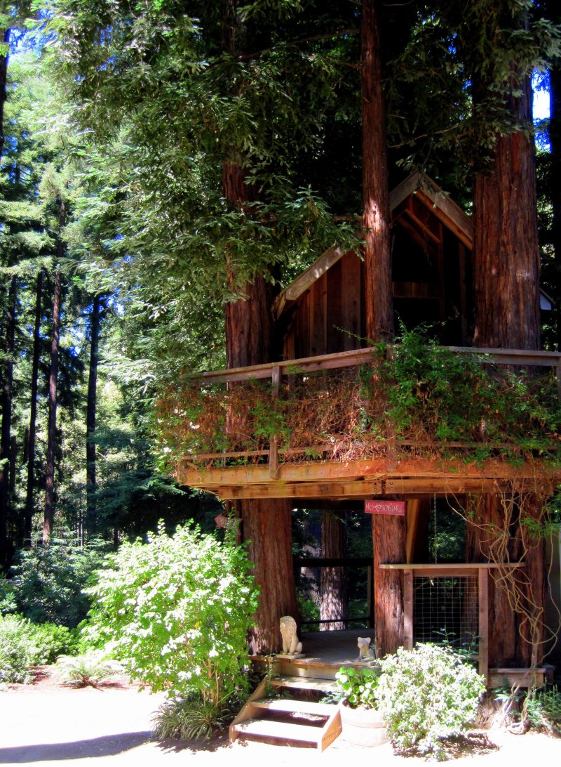 Отель treehouse домики на деревьях