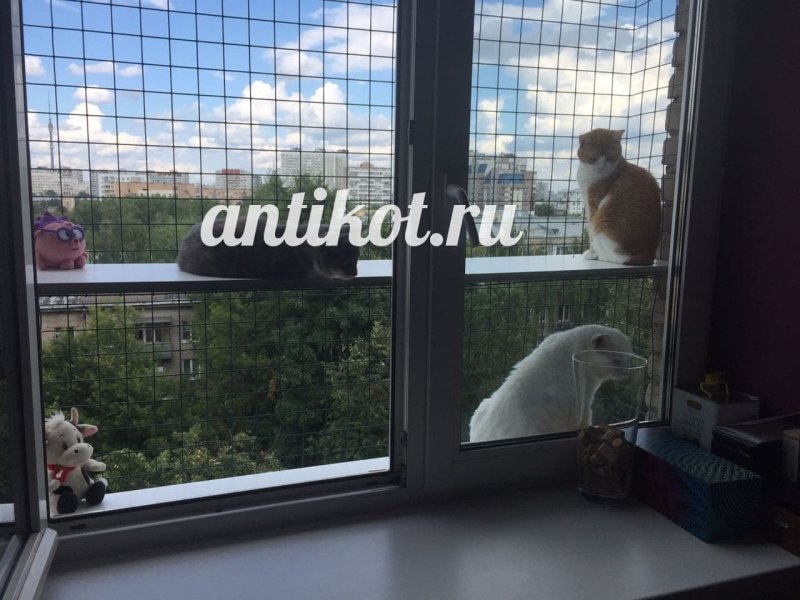Балкончик антикошка