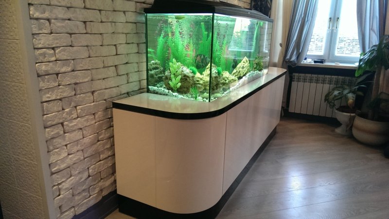 Угловой аквариум